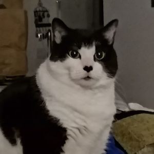 Meet your Posher, Tierra